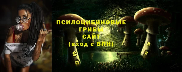 спиды Армянск