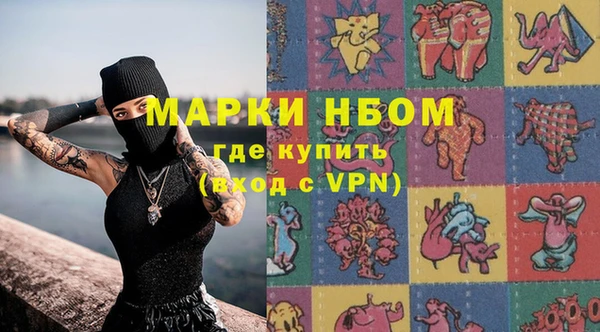 сатива Аркадак