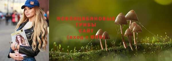 мдпв Арсеньев