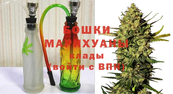 сатива Аркадак