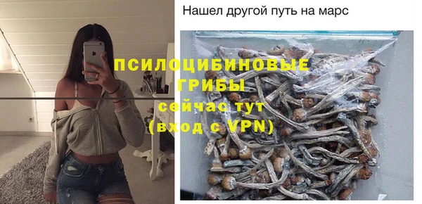 мяу мяу мука Михайловск