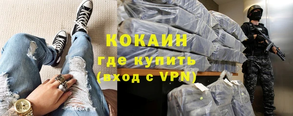 сатива Аркадак