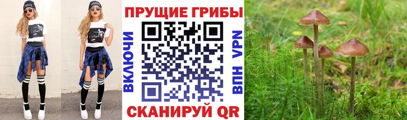 Галлюциногенные грибы прущие грибы наркотики Артёмовский